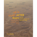 After Rain: Diriyah Contemporary Art Biennale 2024 - Visual Reader