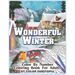 Wonderful Winter Color By Number Coloring Book For Adults: Fun Frosty Weather Coloring Book