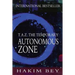 T.A.Z.: The Temporary Autonomous Zone