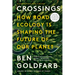 Crossings: How Road Ecology Is Shaping the Future of Our Planet