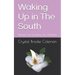 Waking up in the South: Manifest Your Life. Rewire Your Old Beliefs
