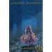 Chasing Divinity