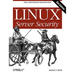 Linux Server Security