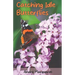 Catching Idle Butterflies