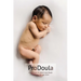 Postpartum & Infant Care Doula WorkBook 2024