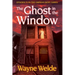 The Ghost in the Window: Episode 3 in the Orphan Boys Mysteries