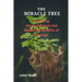 The Miracle Tree: Exploring the nutritional and medicinal benefits of moringa