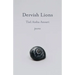Dervish Lions