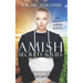 Amish Secrets and Lies
