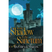 In the Shadow of the Sanctum