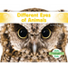 Different Eyes of Animals
