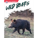Wild Boars