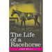 The Life of a Racehorse