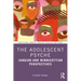 The Adolescent Psyche: Jungian and Winnicottian Perspectives