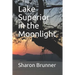 Lake Superior in the Moonlight