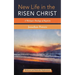 New Life in the Risen Christ: A Wesleyan Theology of Baptism