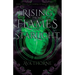 Rising from Flames and Starlight: Book Two of the Embers of Magic Duology
