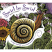 Swirl by Swirl: Spirals in Nature