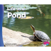 Life in a Pond