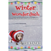 Winter Wonderdach