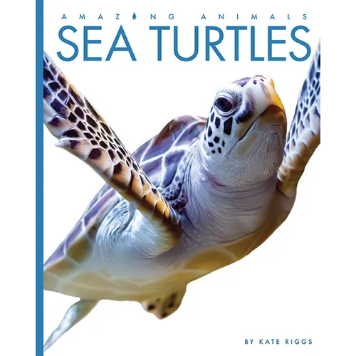 Sea Turtles