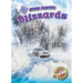 Blizzards