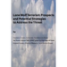 Lone Wolf Terrorism prospects and potential strategies to Address the Threat