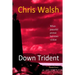 Down Trident: when peaceful protest becomes violent
