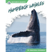 Humpback Whales