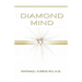 Diamond Mind: The Intelligent, Synergistic Approach to Science and Spirituality