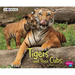 Tigers and Their Cubs: A 4D Book