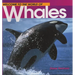Welcome to the World of Whales