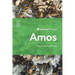 Journey Through Amos: 30 Biblical Insights by J.R. Hudberg