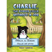 Charlie, The Border Collie Without a Job