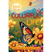 Back To A Colorful Life