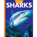 Curious about Sharks