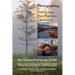 Photographing the New Jersey Pine Barrens: The Ultimate Photography Guide
