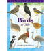 Birds of Chile