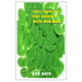 100% Ways to Stay Healthy with Moringa: Moringa (the Magic Tree)