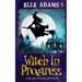 Witch in Progress