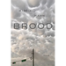 Brood