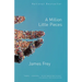 A Million Little Pieces