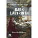 Dark Labyrnith: A Novel Based on the Life of Galileo Galilei