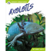 Axolotls