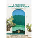 Il fenómeno migratorio in Puglia