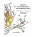 Susurros de la Naturaleza Libro Avanzado para Colorear: ninfas enmascaradas y otros seres etéreos