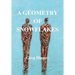 A Geometry of Snowflakes
