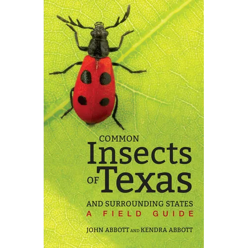 Common Insects of Texas and Surrounding States: A Field Guide