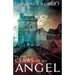 In the Claws of an Angel