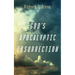 God's Apocalyptic Insurrection: A Post-Evangelical Theology of Salvation